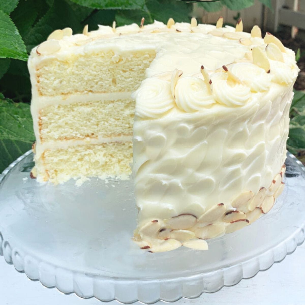 Almond Vanilla Cake