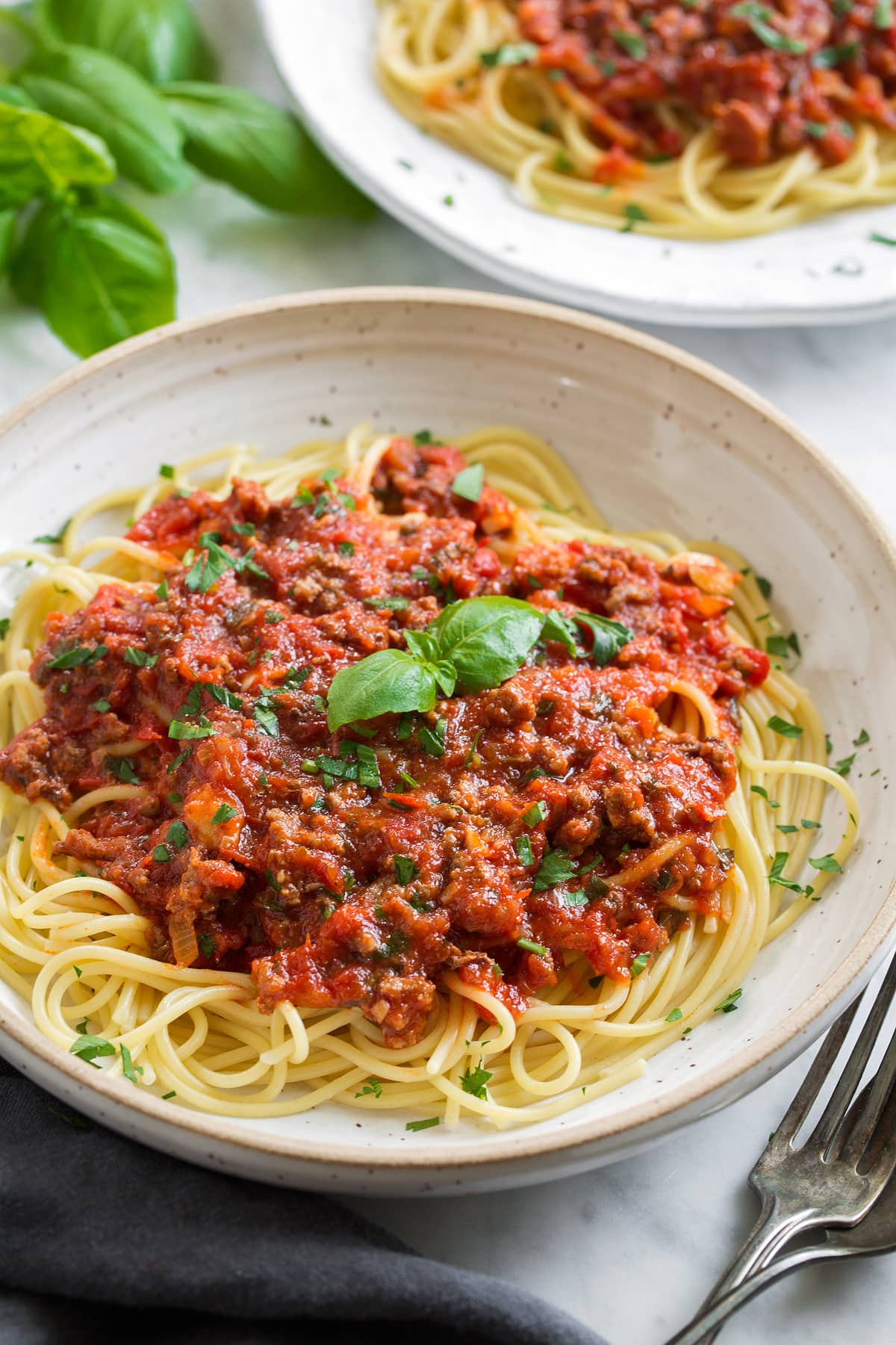 Spaghetti Sauce Recipe