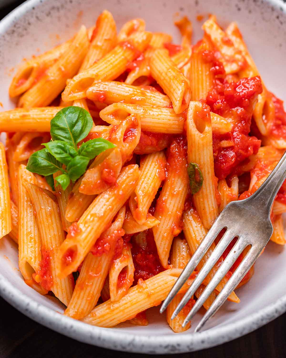 Easy Pasta Marinara Recipe
