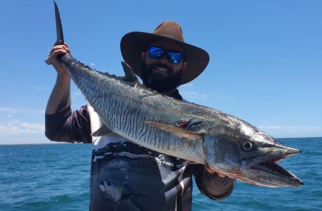 King Mackerel