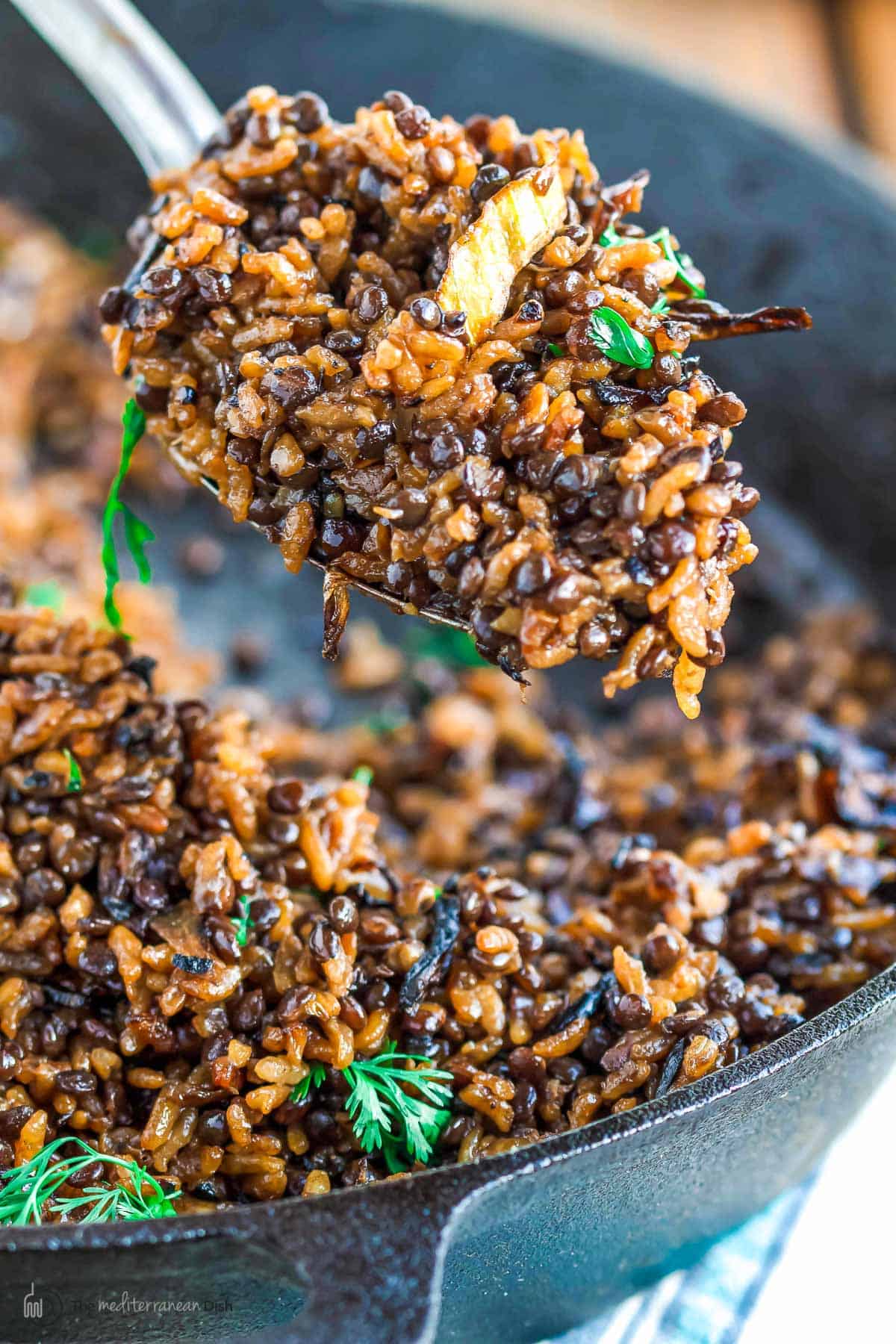 Mujaddara Recipe