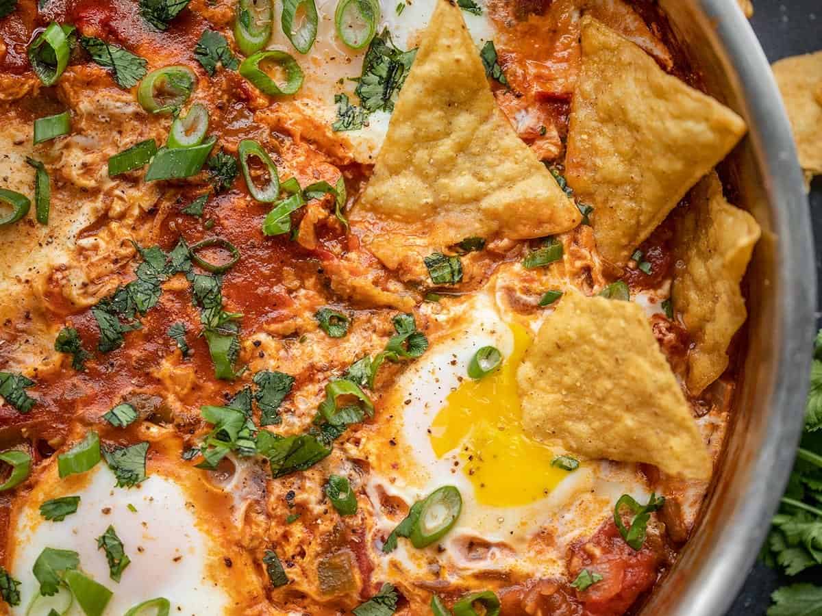 Poached Eggs in Salsa