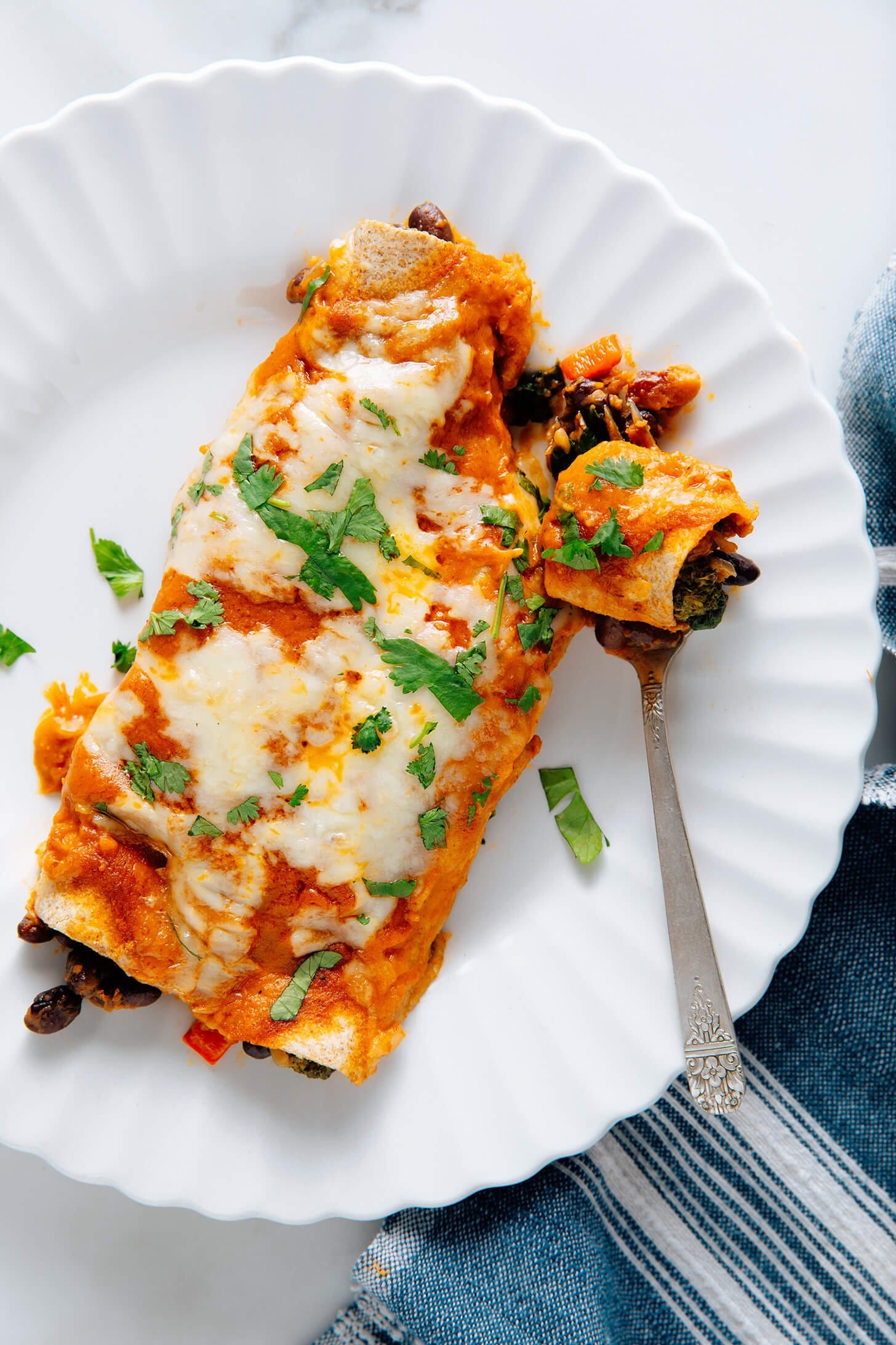 Vegetable Enchiladas