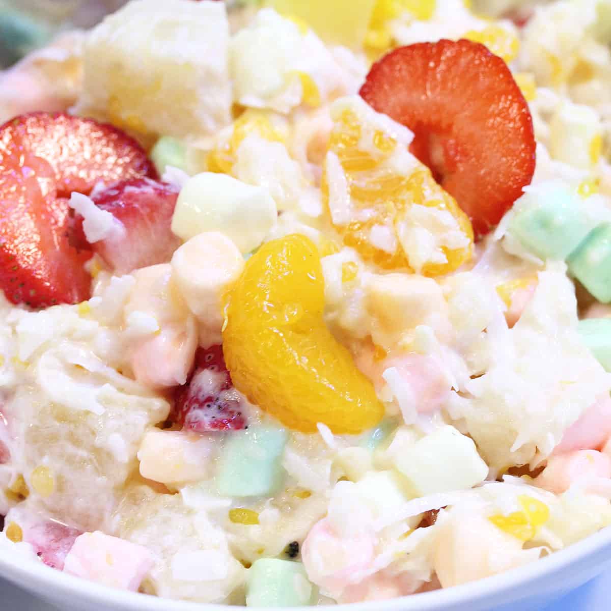 Greek Yogurt Ambrosia Salad Recipe