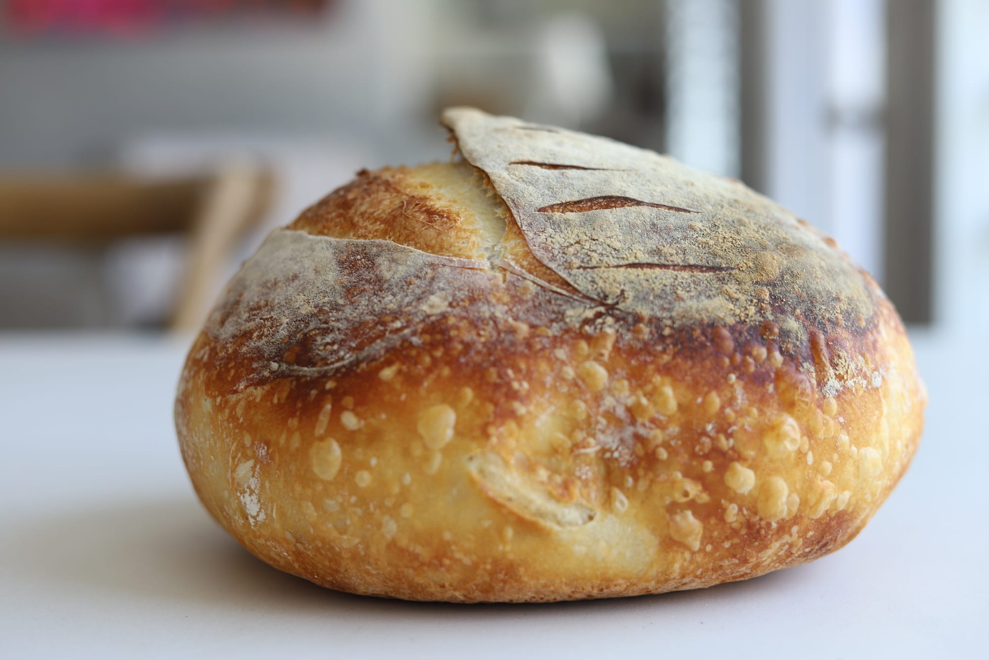 Dutch Oven Crusty Sourdough Recipe