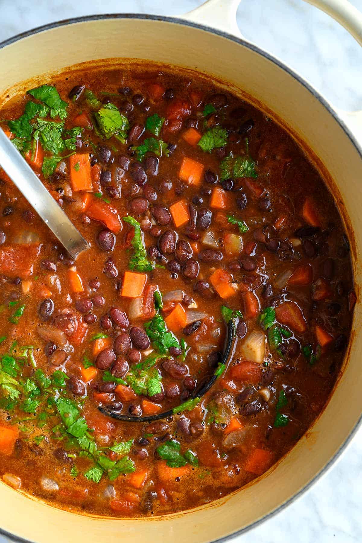 Fast Black Bean Soup Recipe