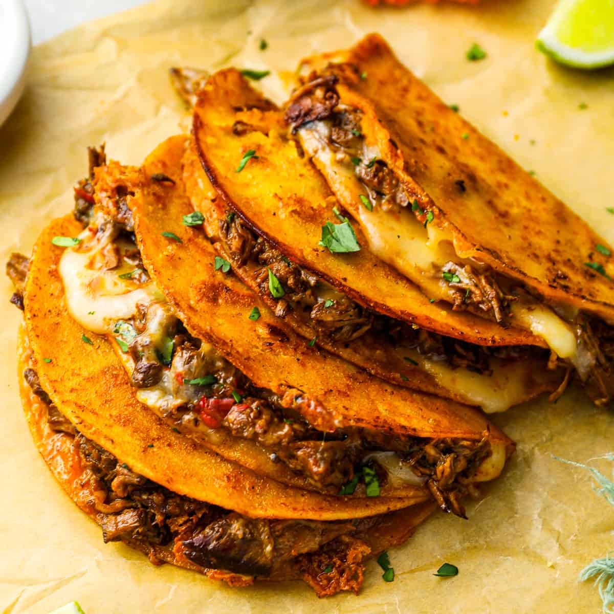 Quesabirria Recipe