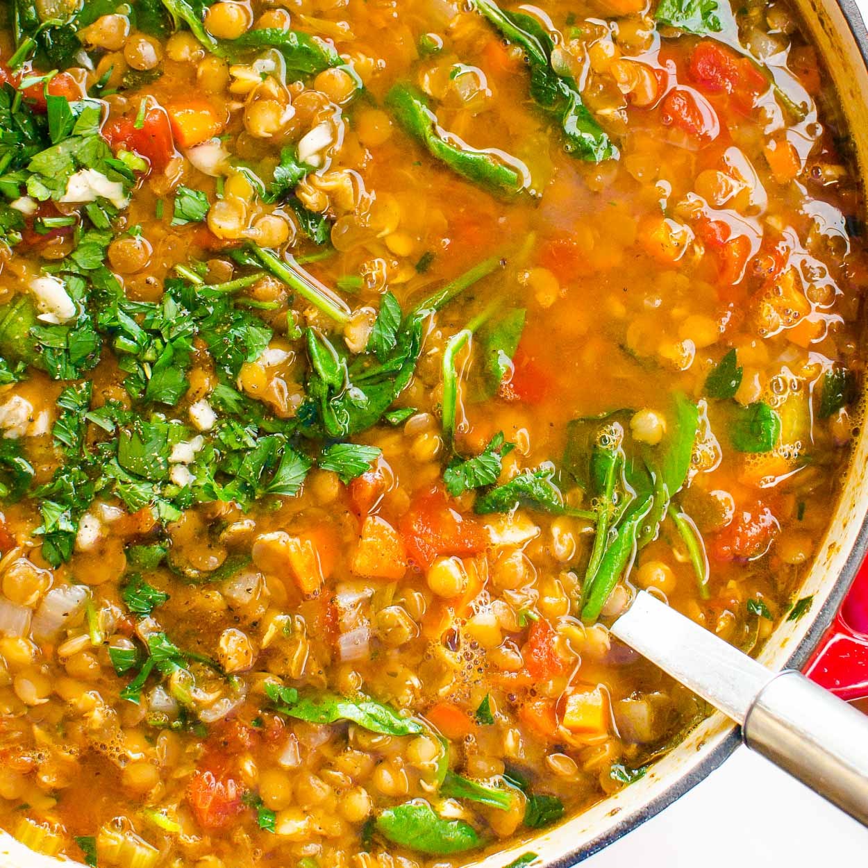 Spinach and Garlic Lentil Soup Recipe