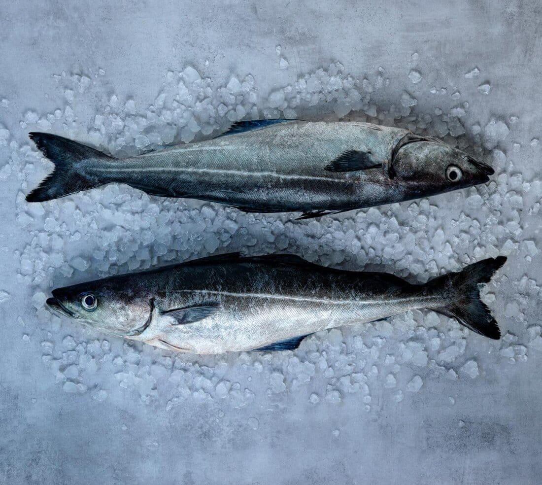 Norwegian Fish