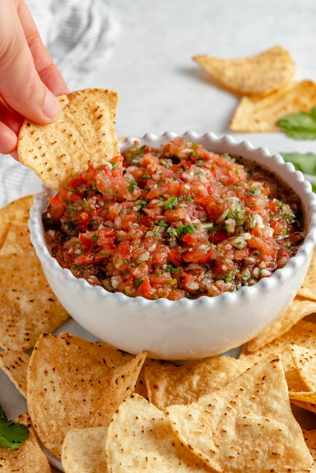 Homemade Salsa Recipe