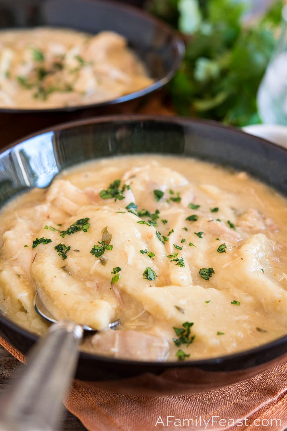 Family Dumplings Recipe