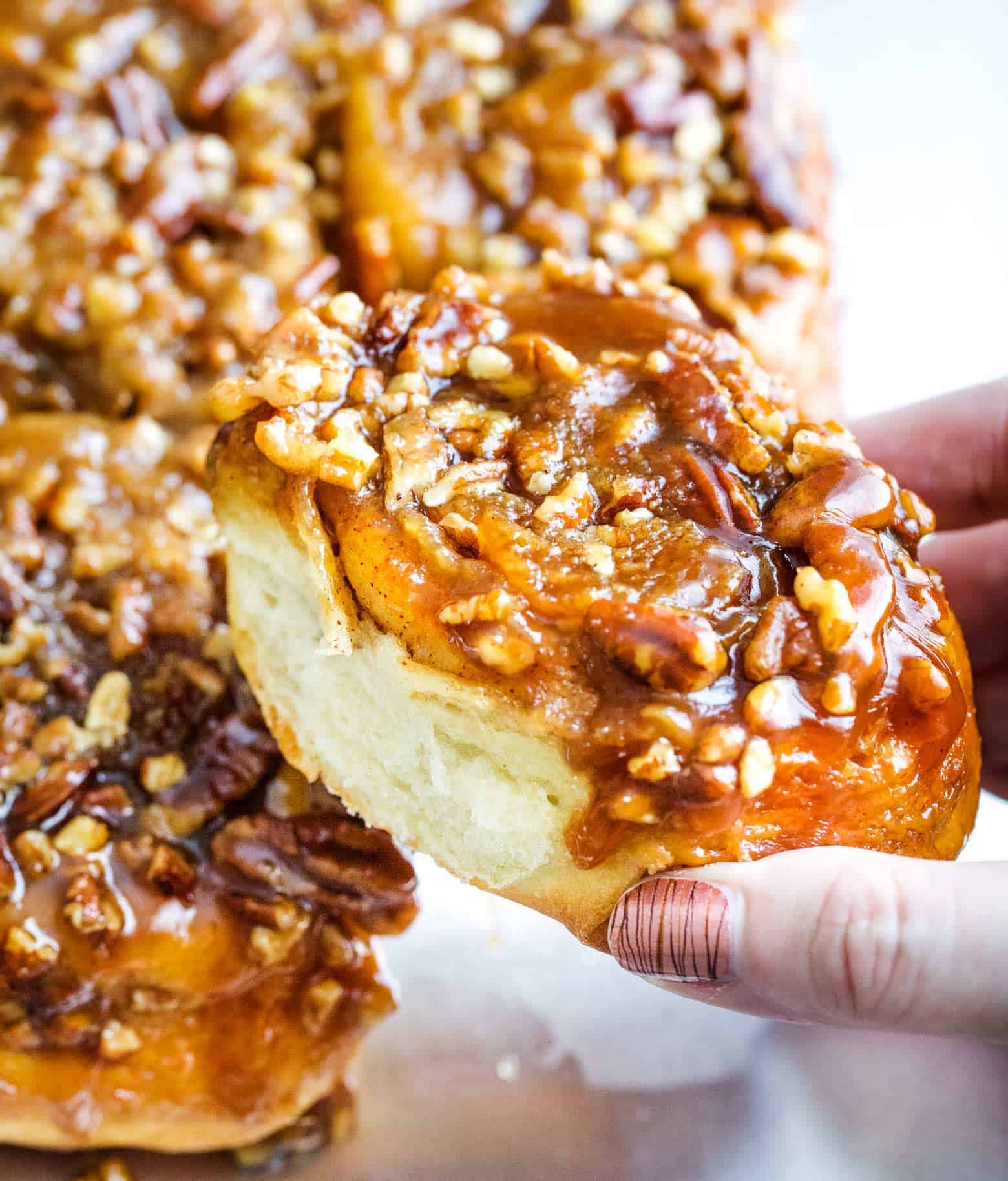 Maple Pecan Sticky Buns Recipe