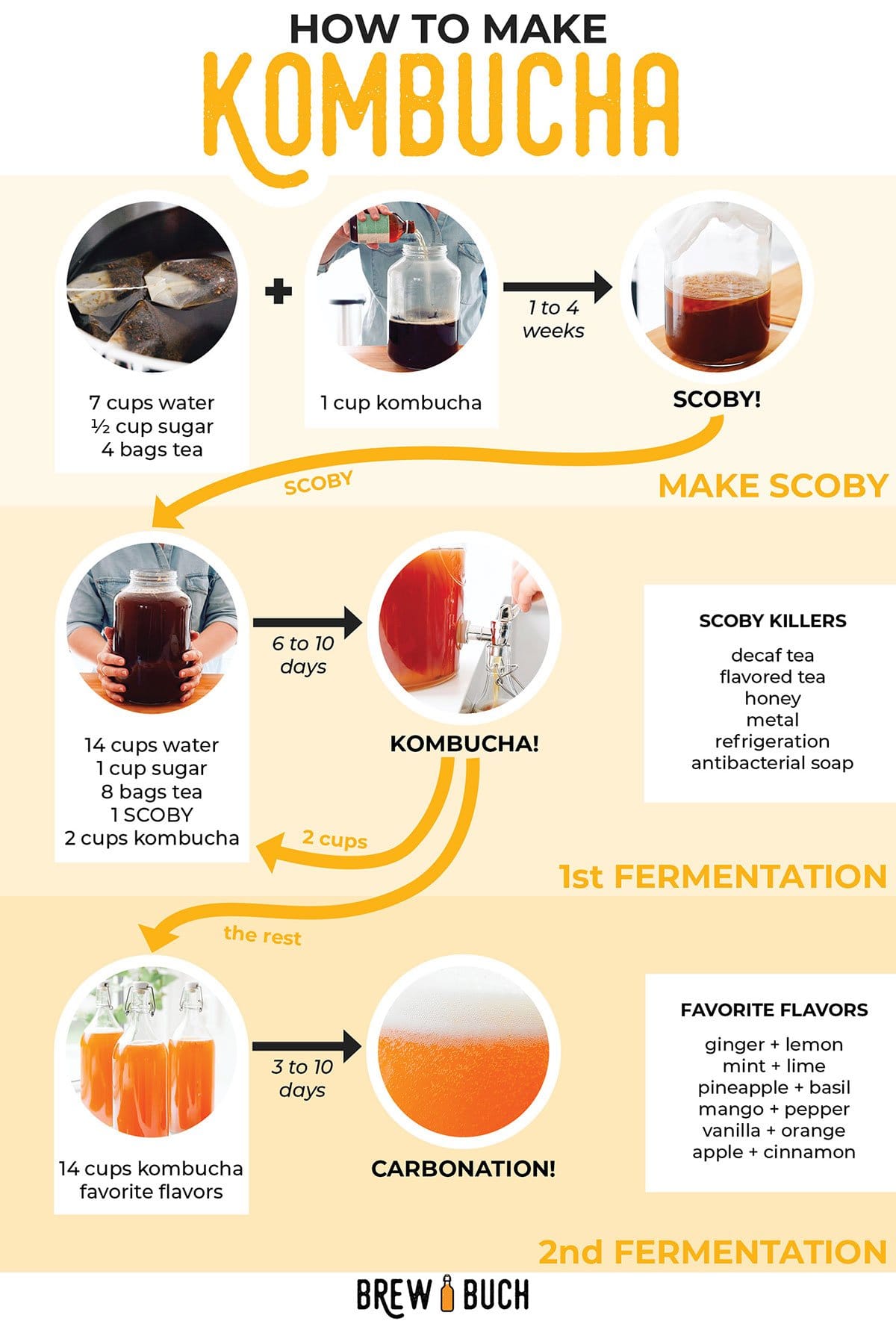 Homemade Kombucha Recipe