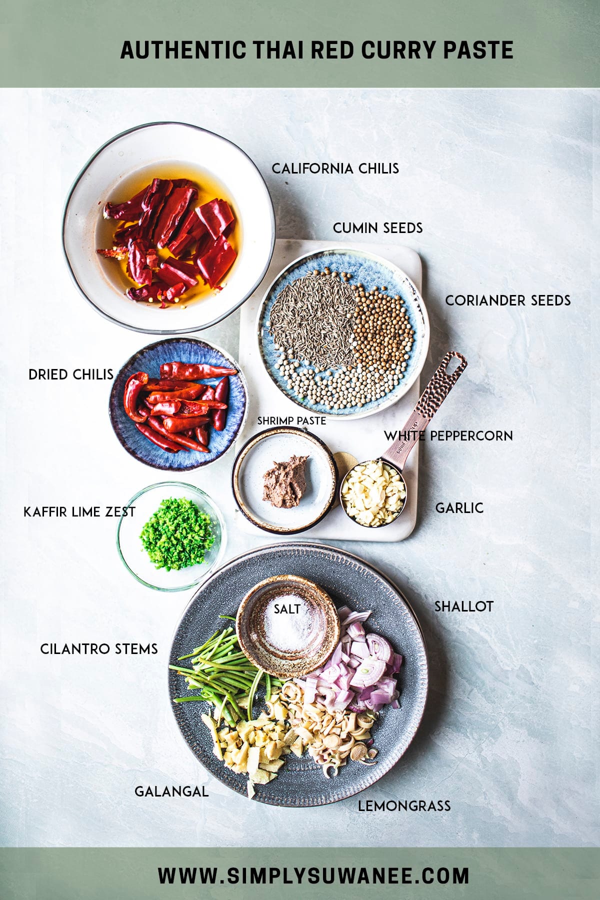 Authentic Curry Paste Recipe