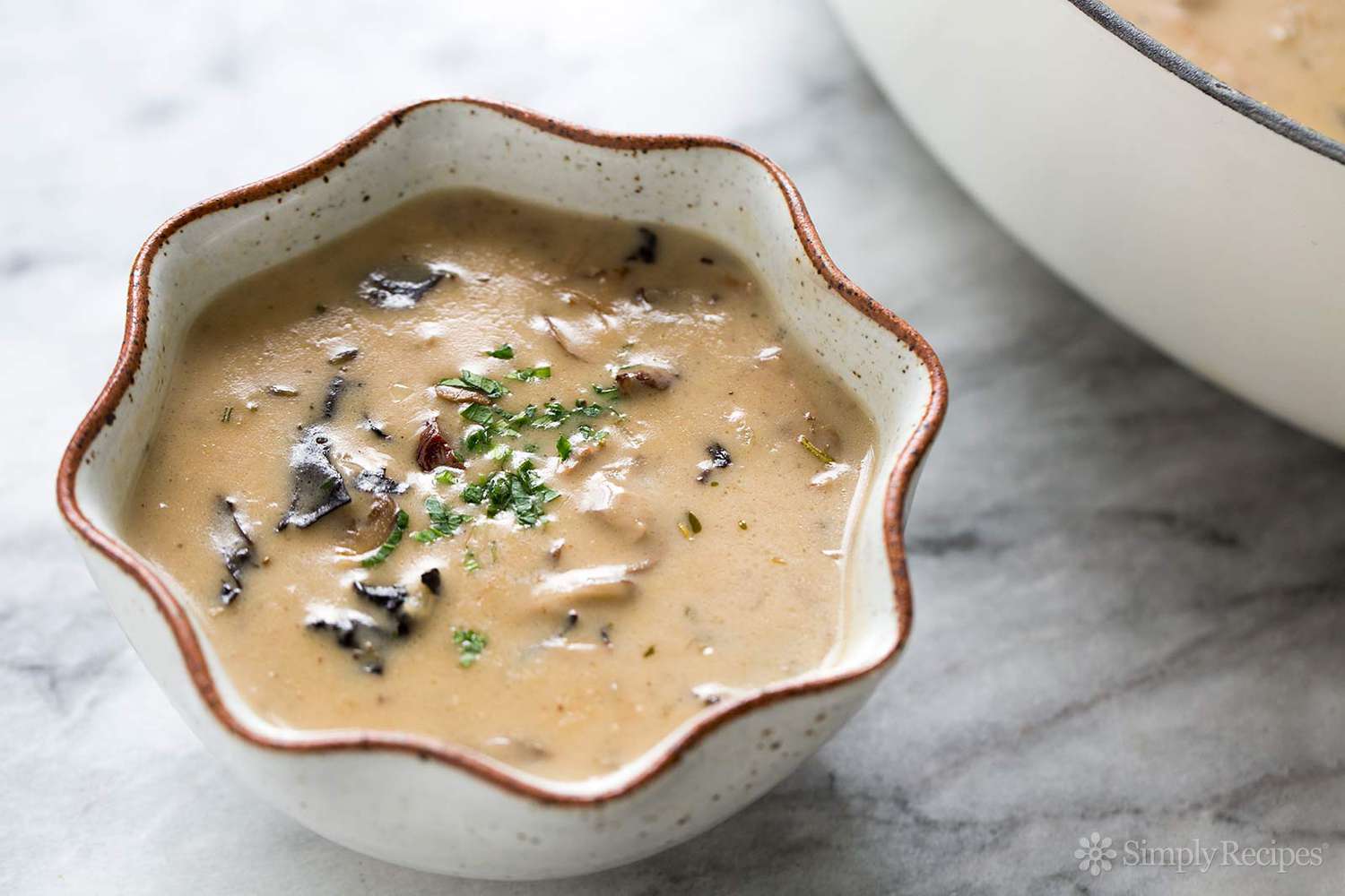 Cream of Wild Mushroom
