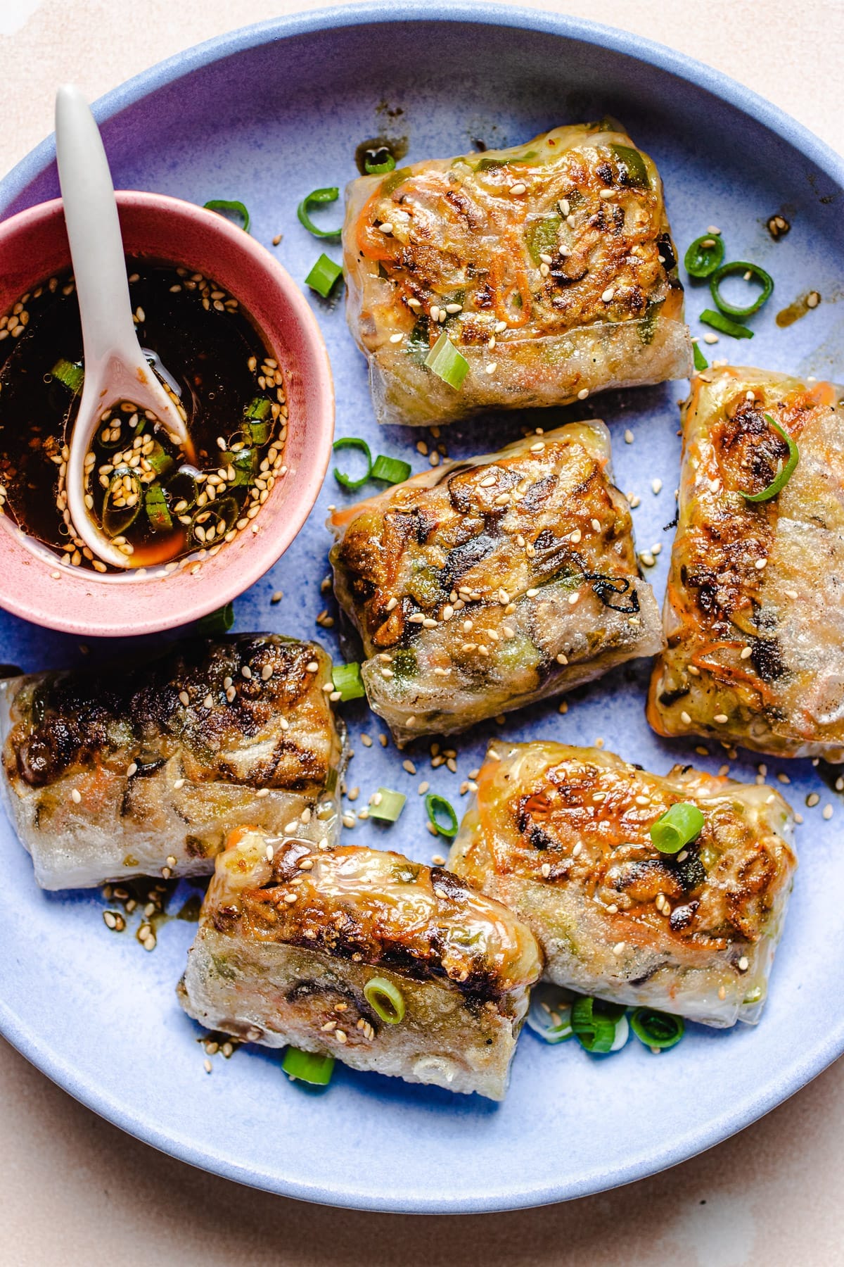 Baked Rice Paper Dumplings Recipe