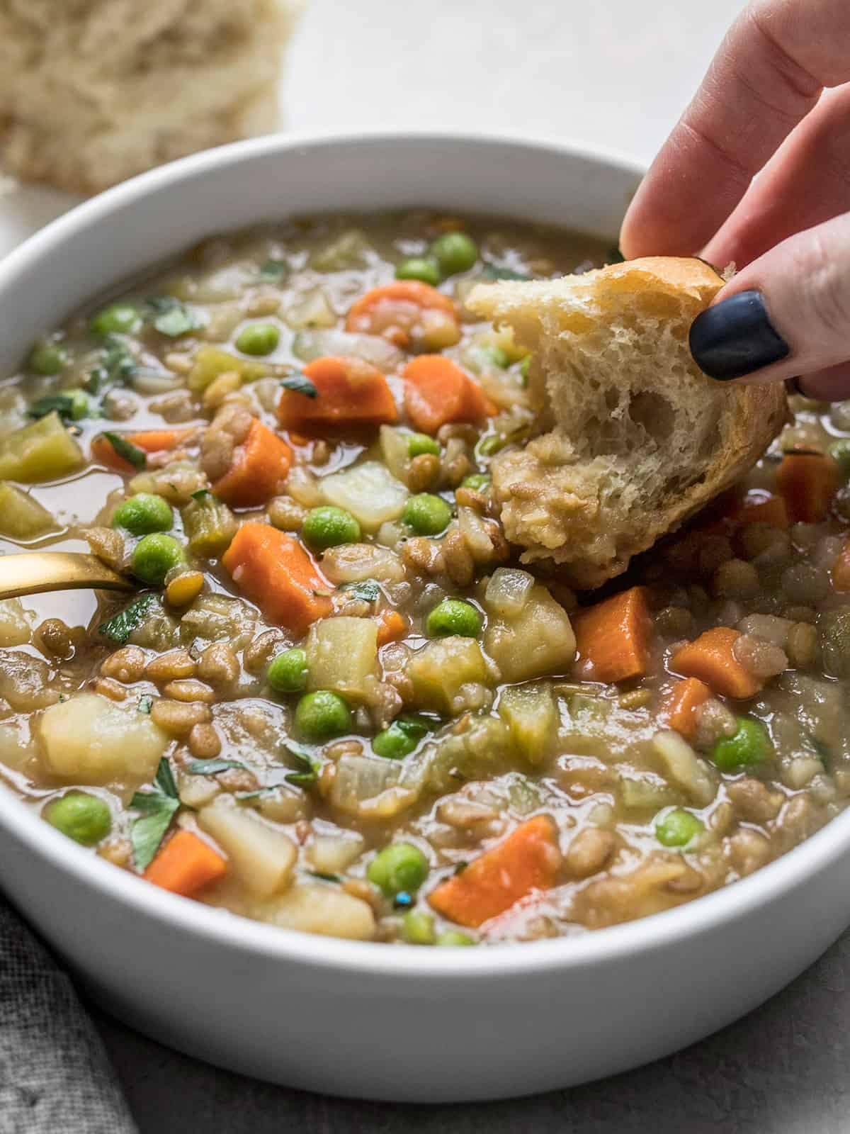 Budget Lentil Stew Recipe
