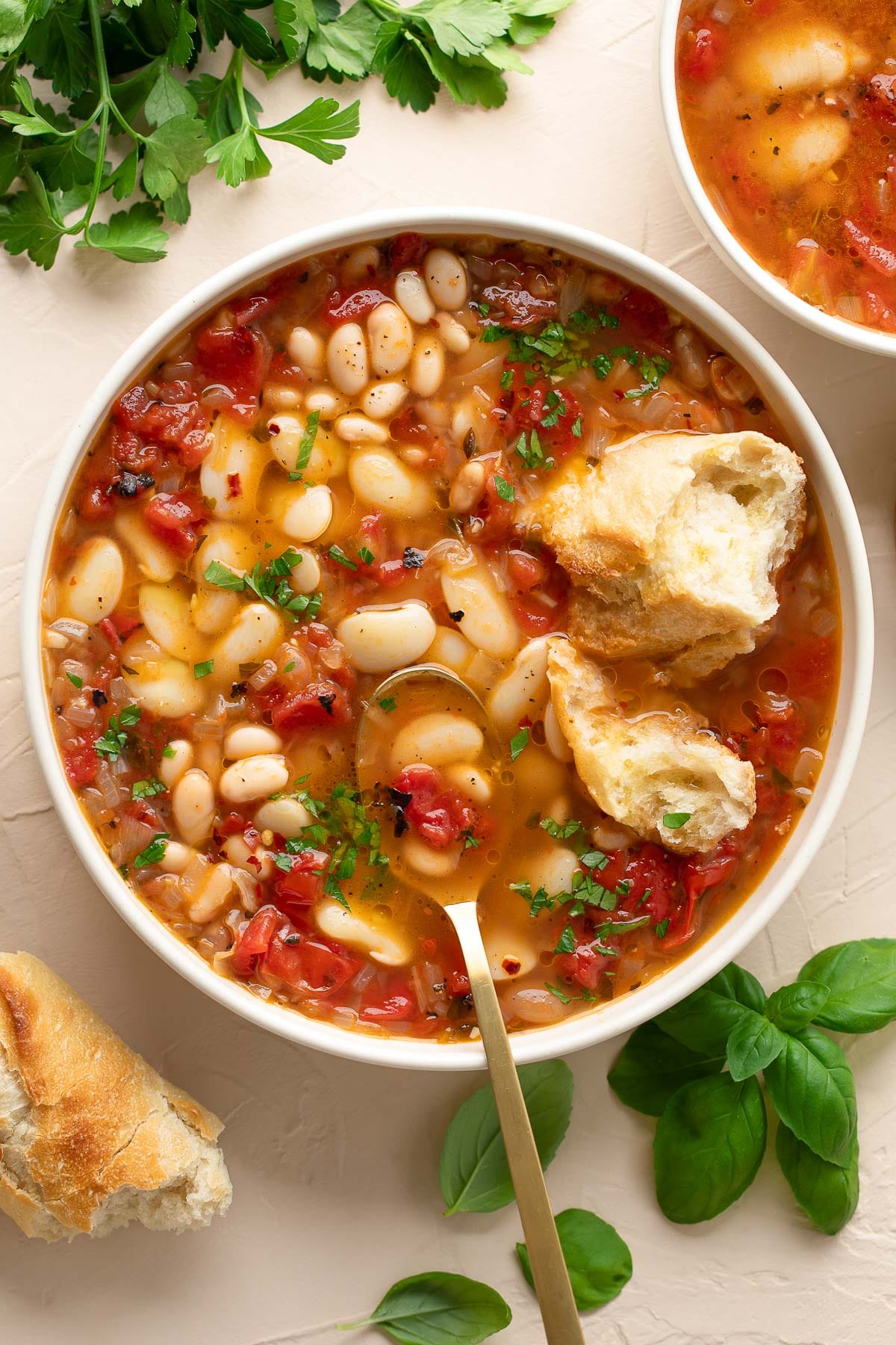 Tomato and Bean Soup