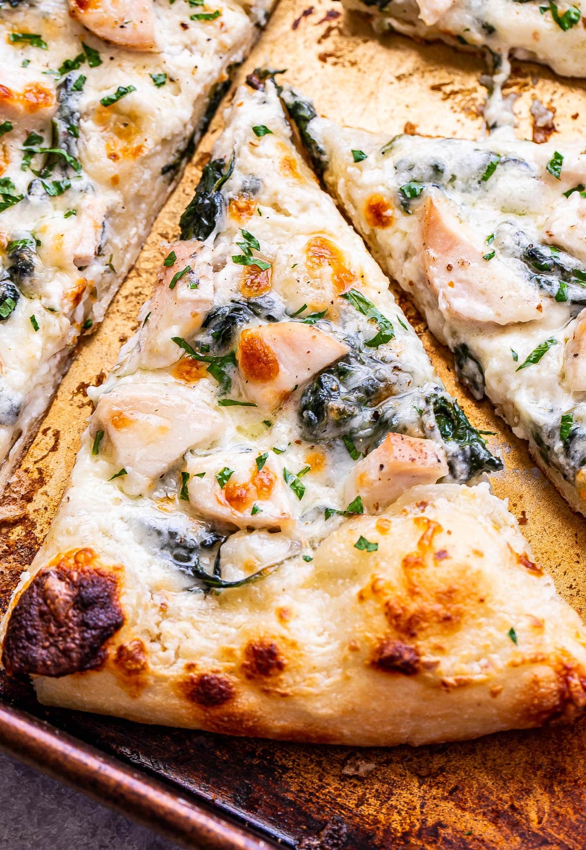 Chicken Alfredo Adventure Pizza Recipe