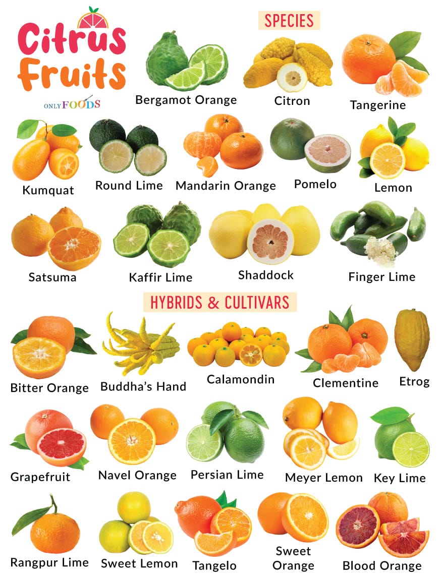 Citrus fruits
