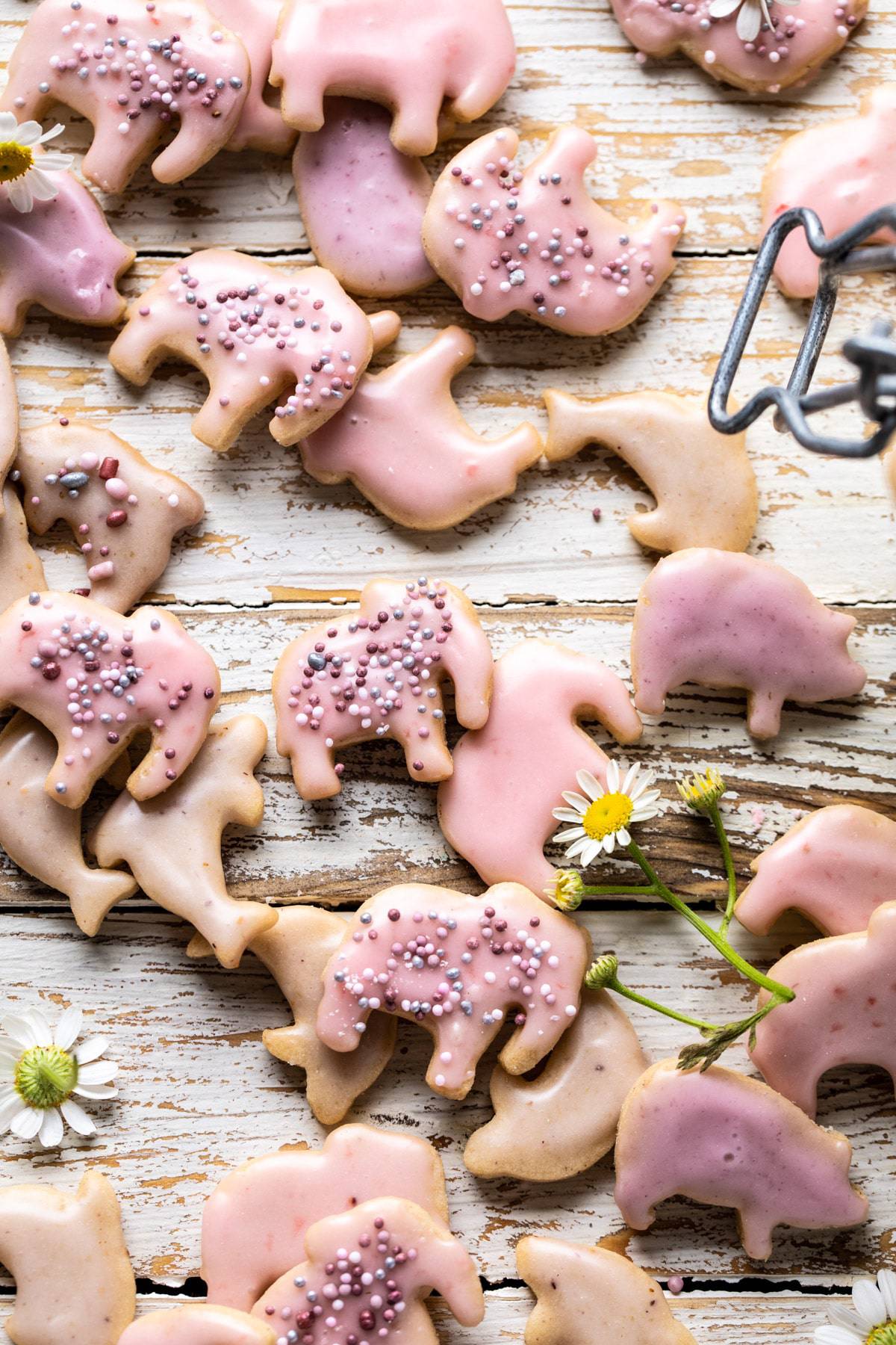 Homemade Animal Crackers Recipe