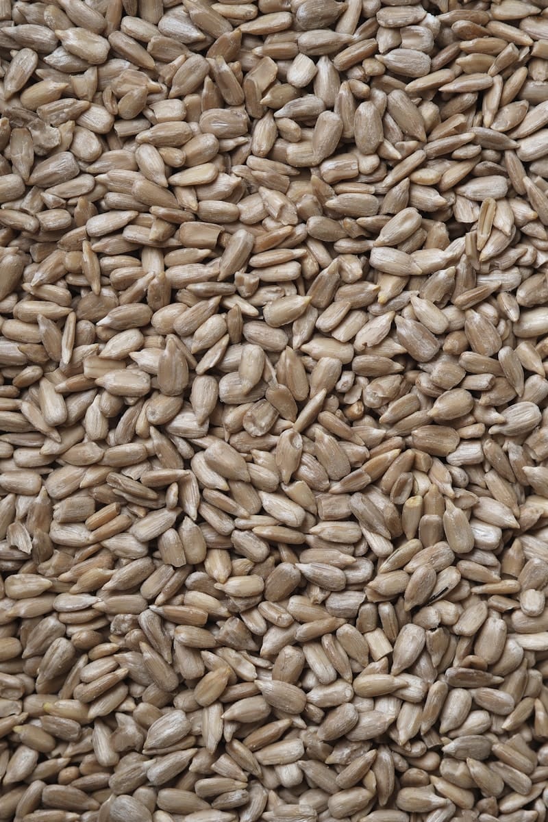 brown and black dried leaves