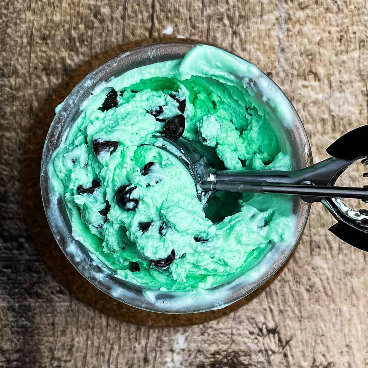 Mint Chocolate Chip Ninja Creami Wonder
