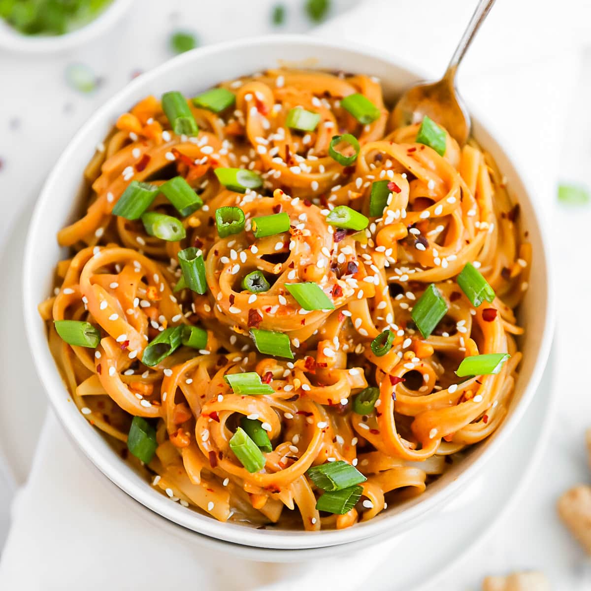 Spicy Peanut Noodle Recipe
