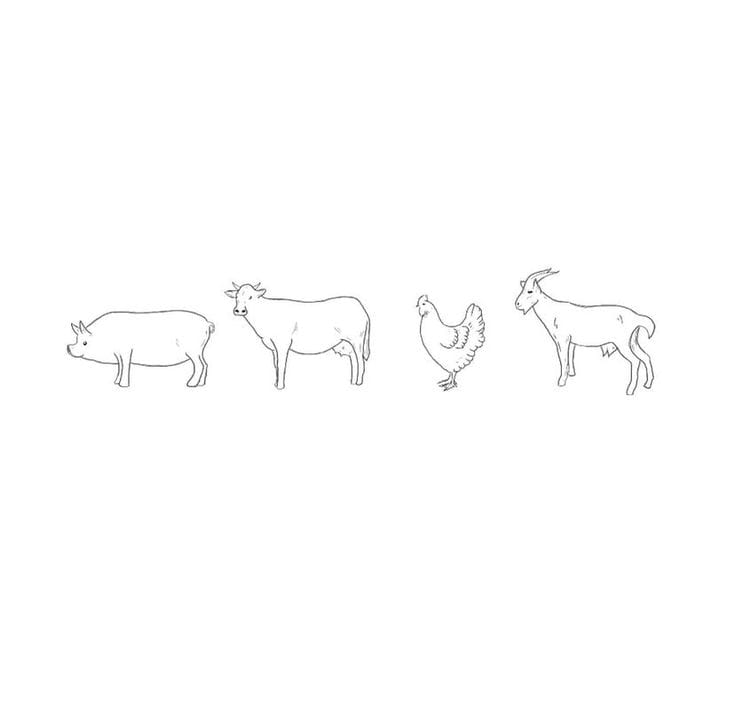 animal fine line