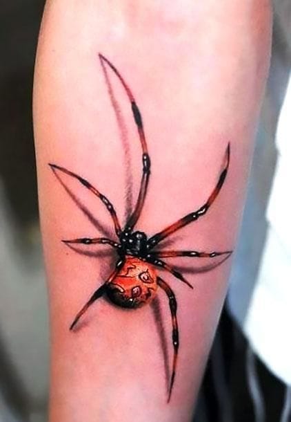 color spider tattoo