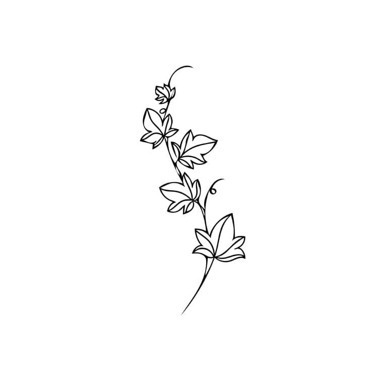 minimalist line art ivy tattoo