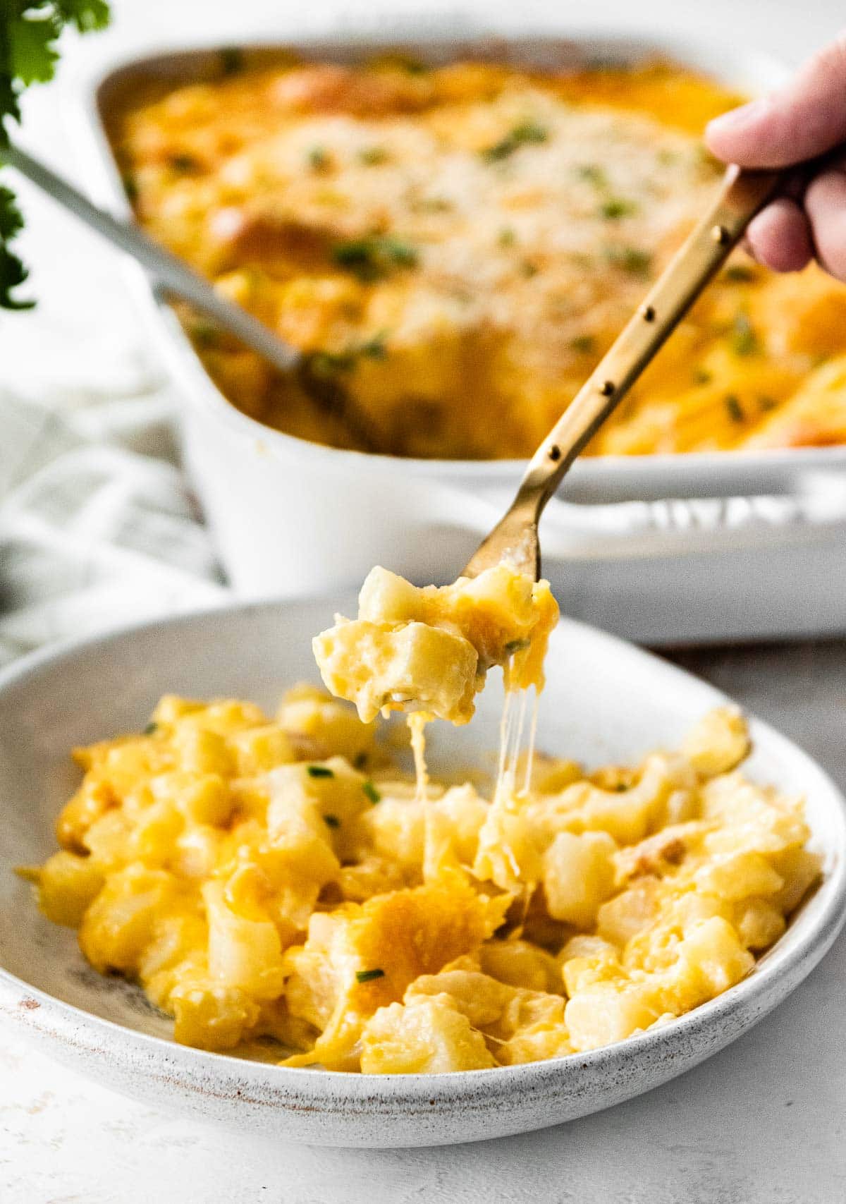 Cheesy Potato Casserole Recipe