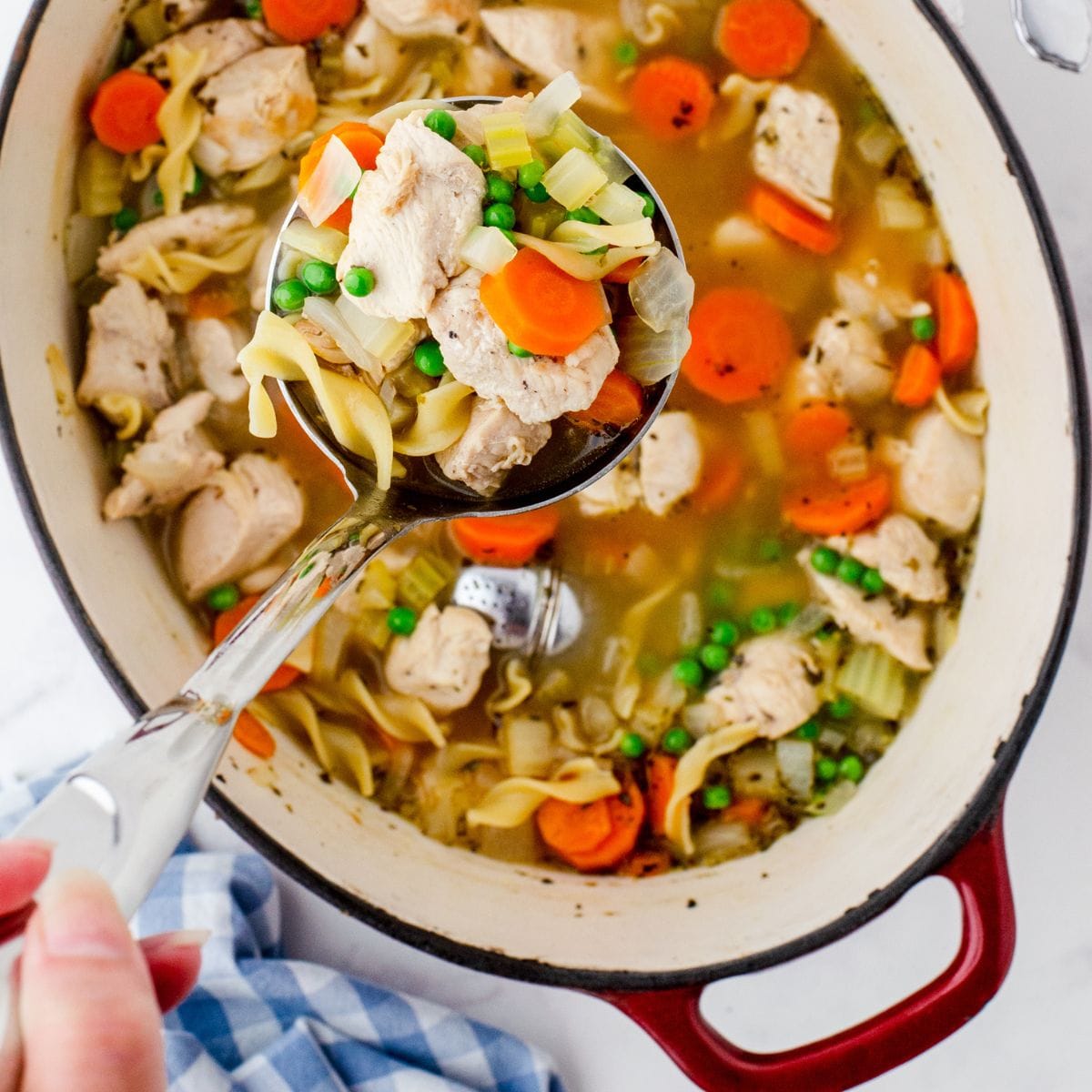 Chicken Noodle Soup Recipe