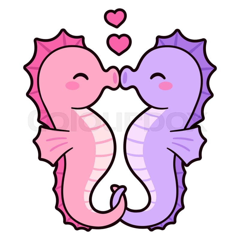 cute seahorse couple