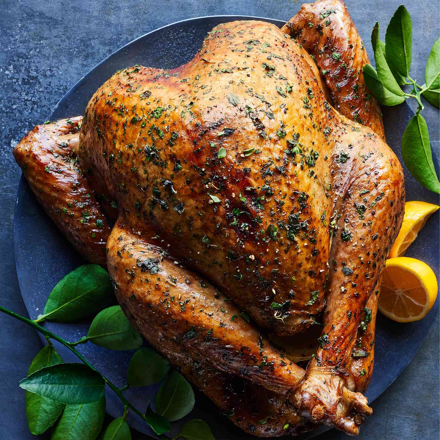 Roasted Turkey with Herbs Recipe