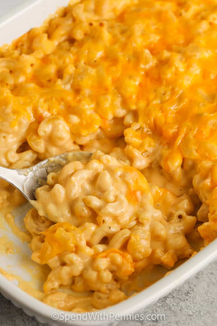 Macaroni and Cheese Casserole Recipe