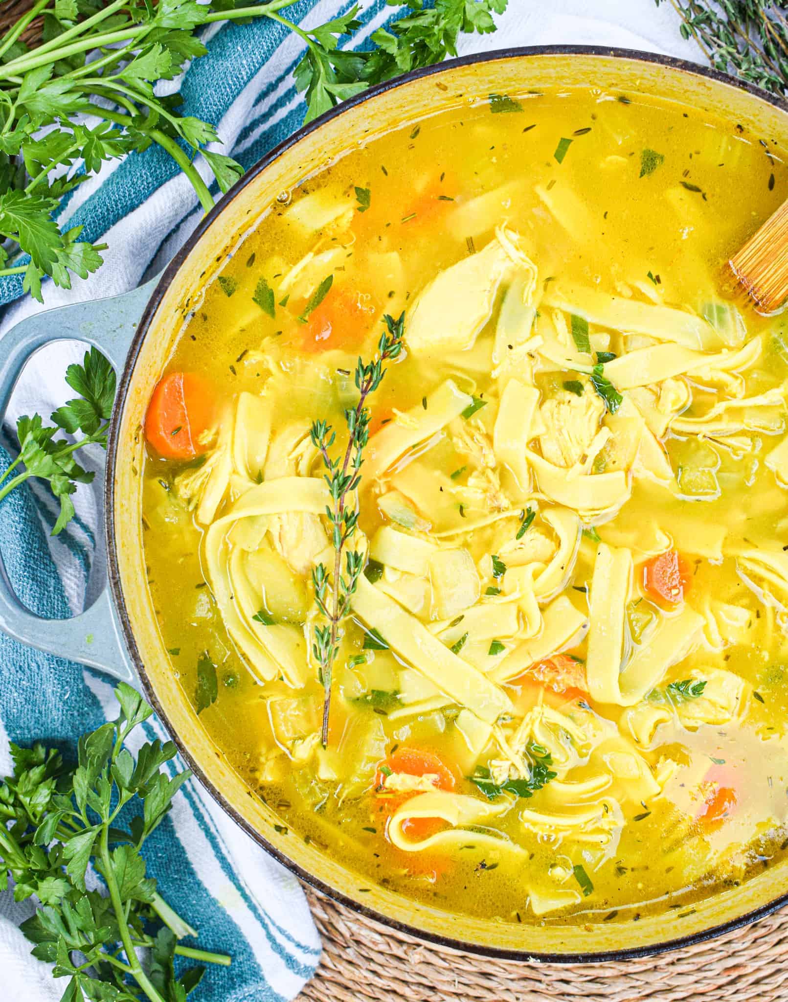 Chicken Noodle Soup Recipe