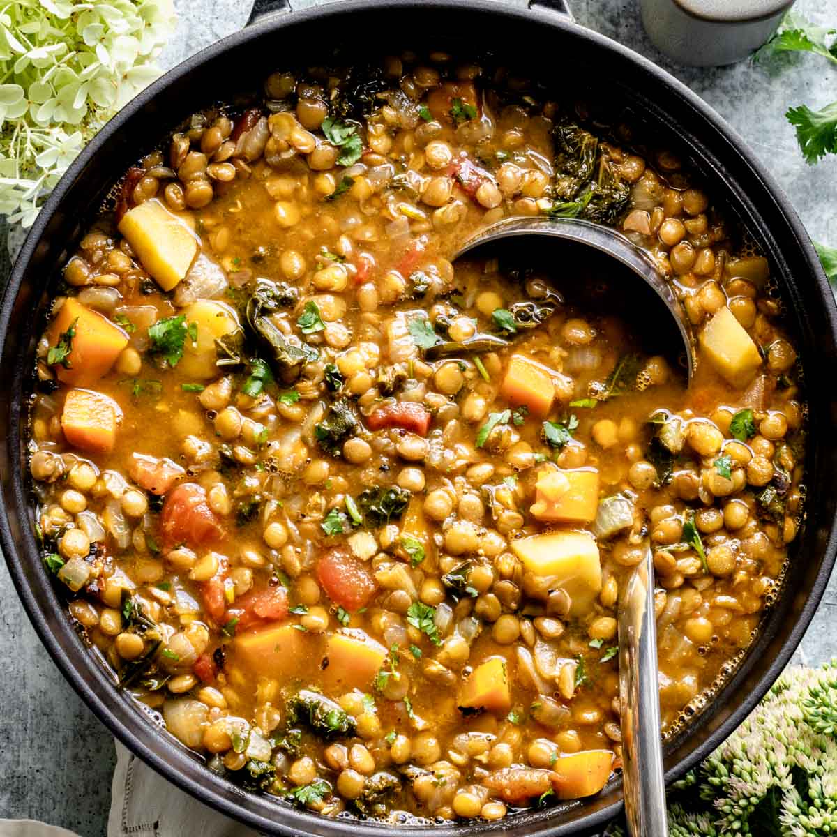 Lentil Soup with Vegetables Recipe