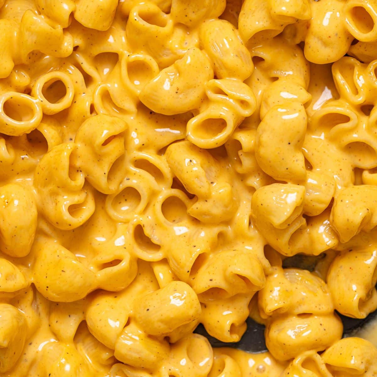 Macaroni and Cheese Recipe