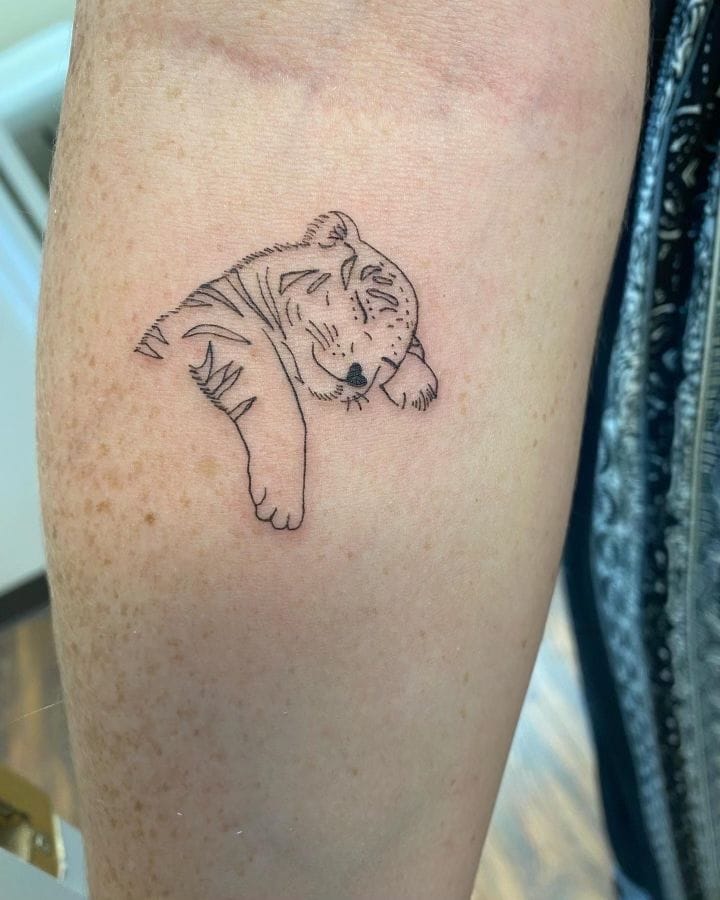 sleeping tiger tattoo