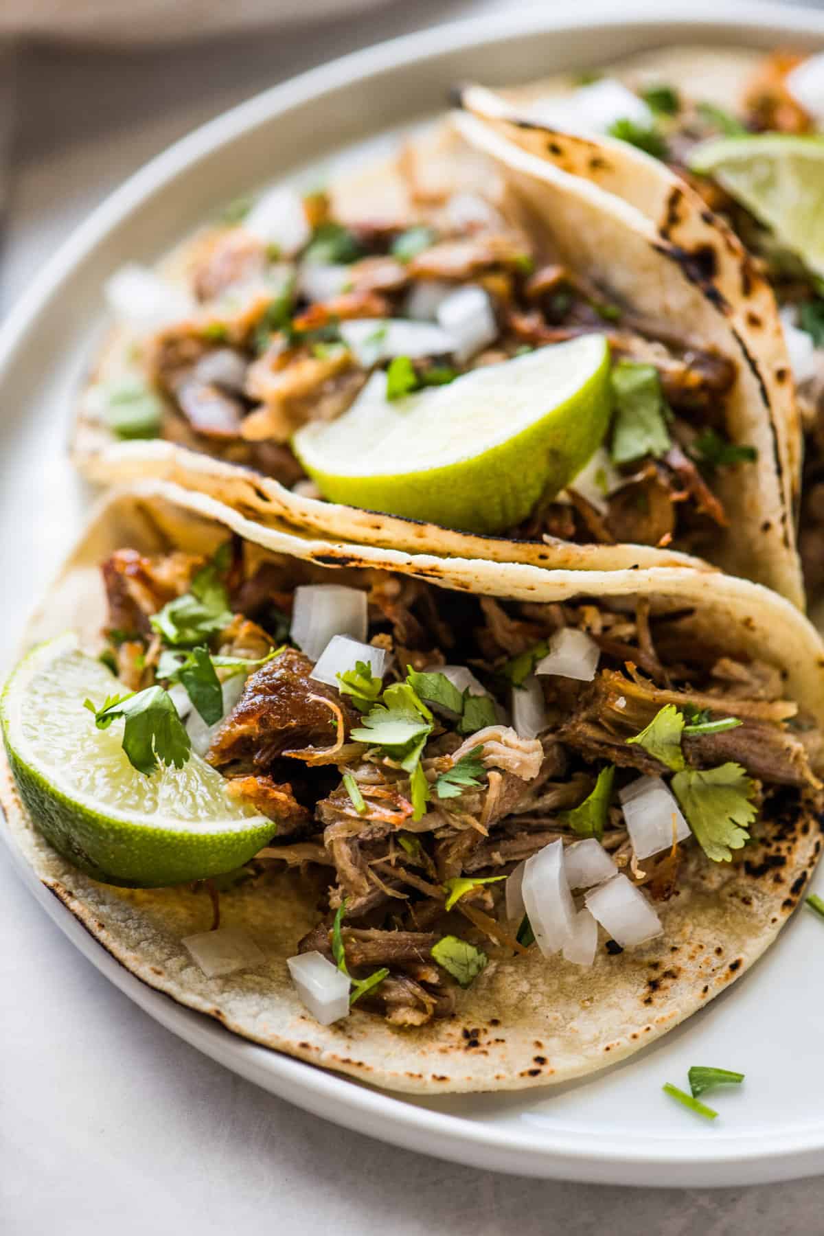 Carnitas (Mexican Slow Cooker Pulled Pork)