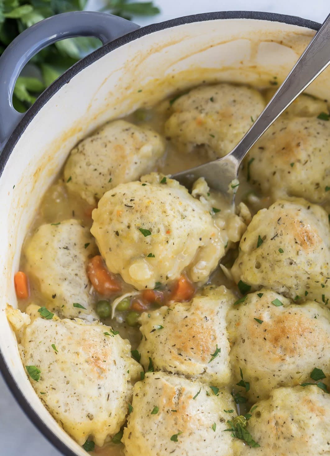 Chicken and Bisquick Dumplings