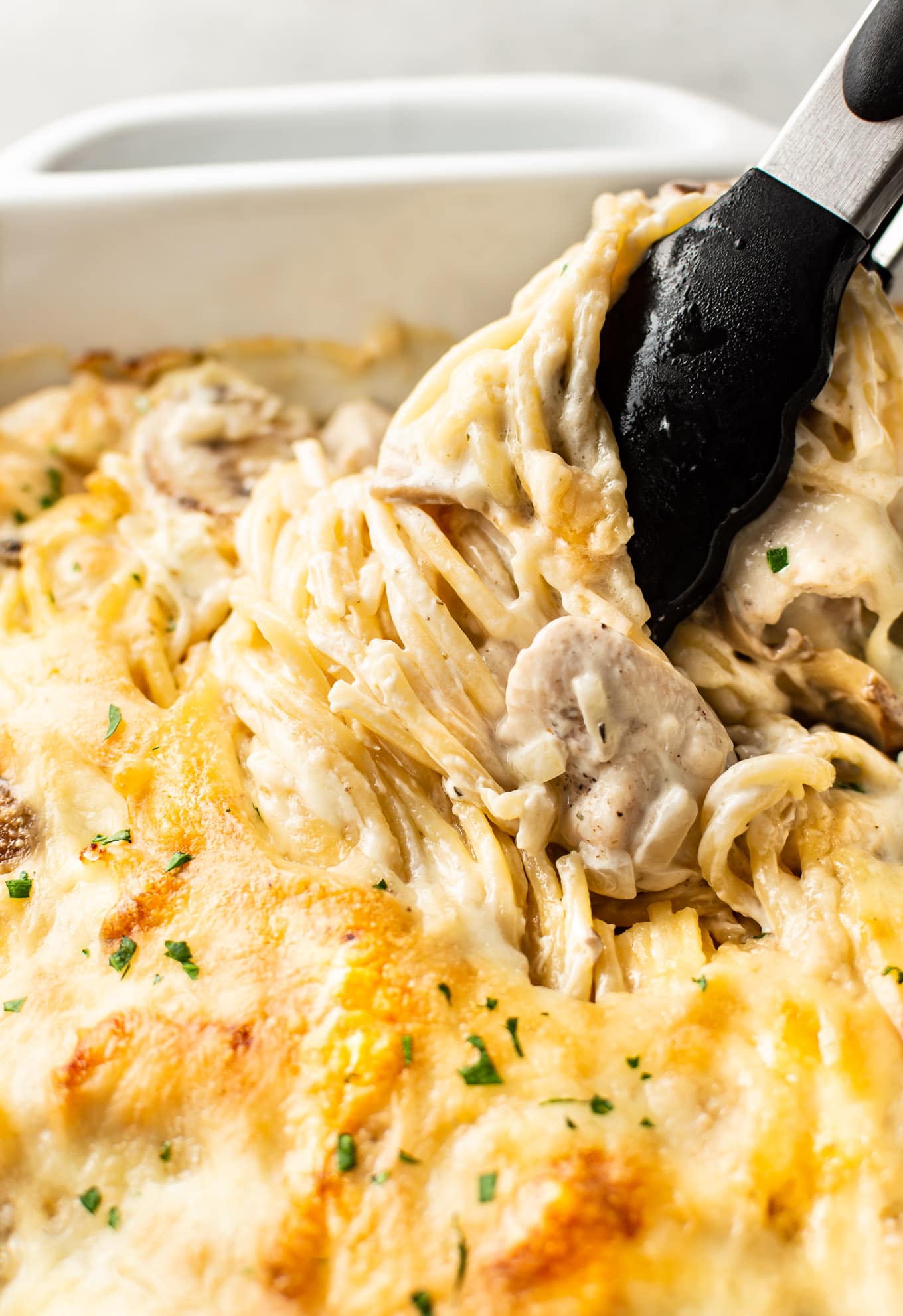 Cheesy Chicken Tetrazzini