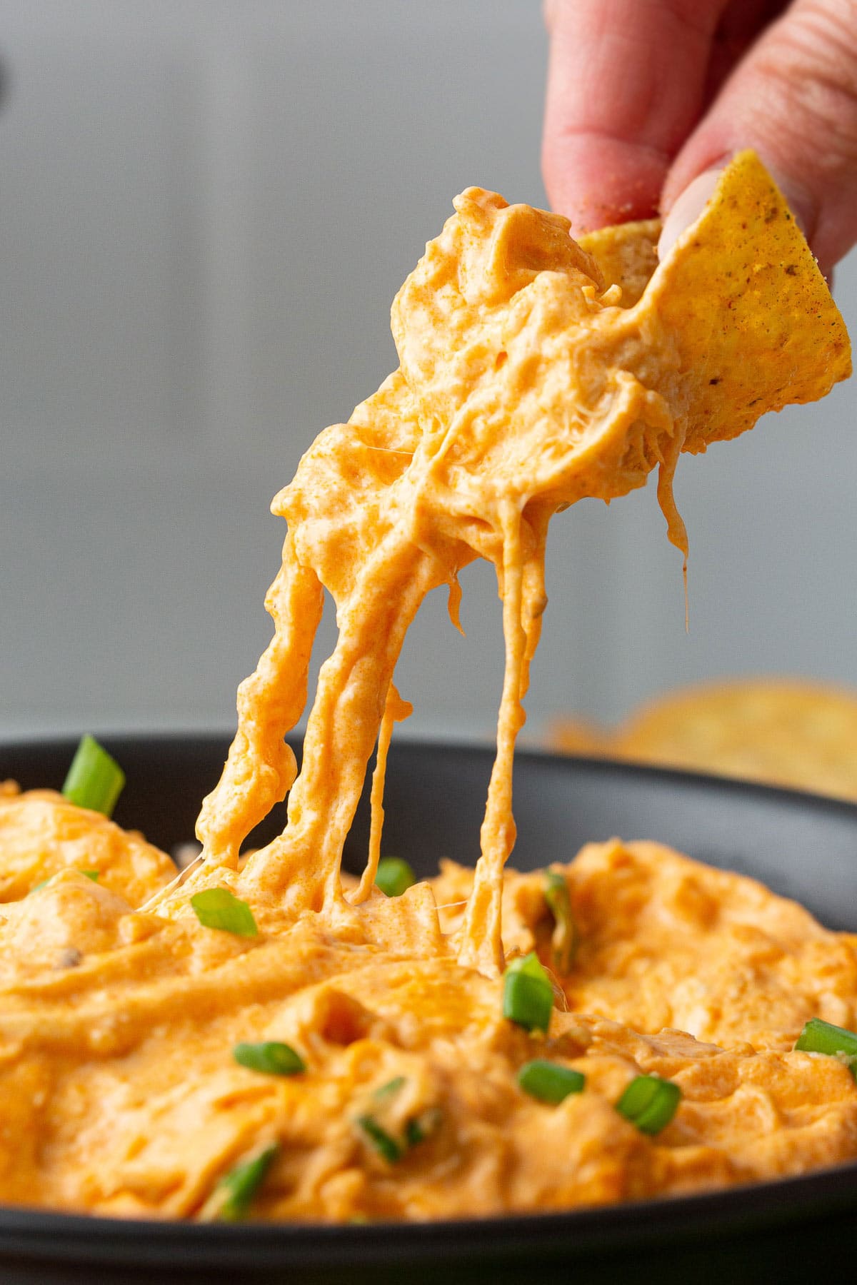 Crockpot Buffalo Chicken Dip