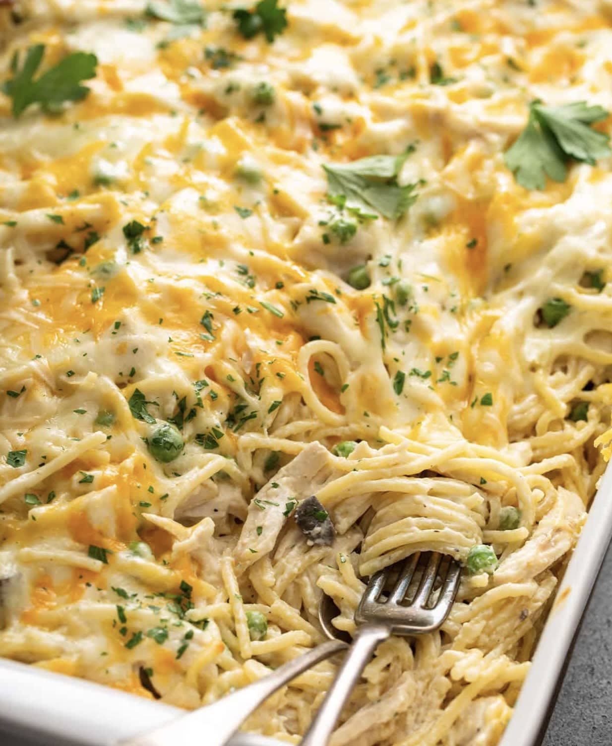 Cheesy Chicken Tetrazzini