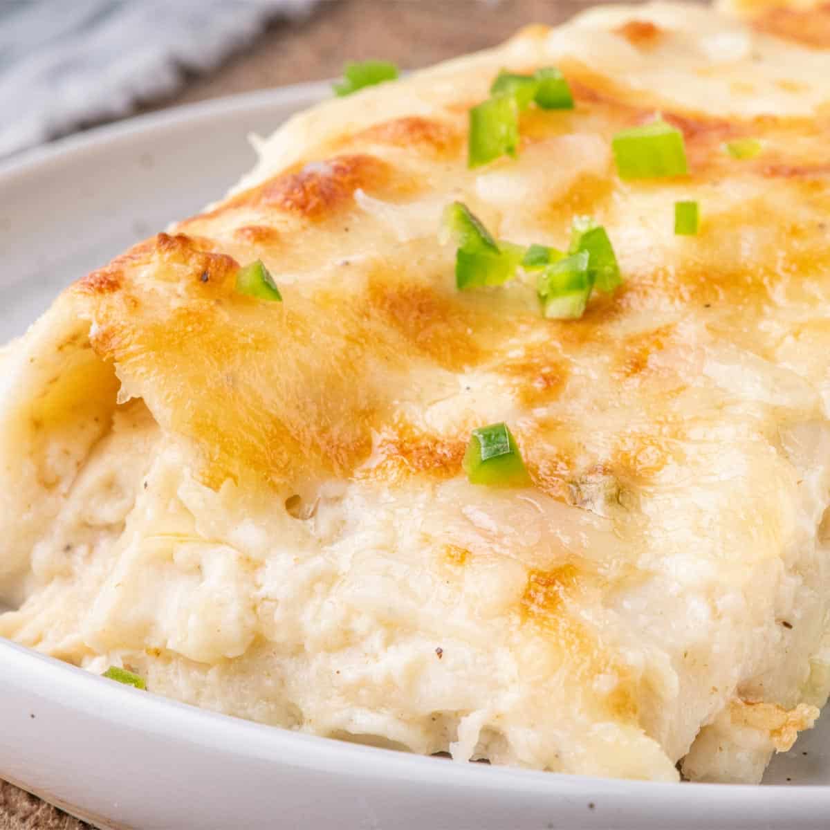 Creamy White Chicken Enchiladas