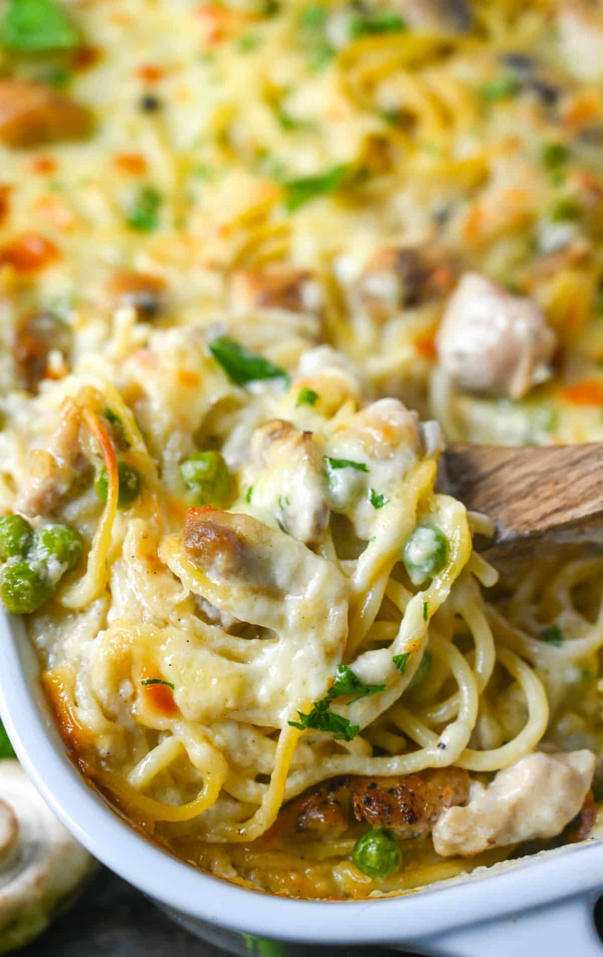 Cheesy Chicken Tetrazzini
