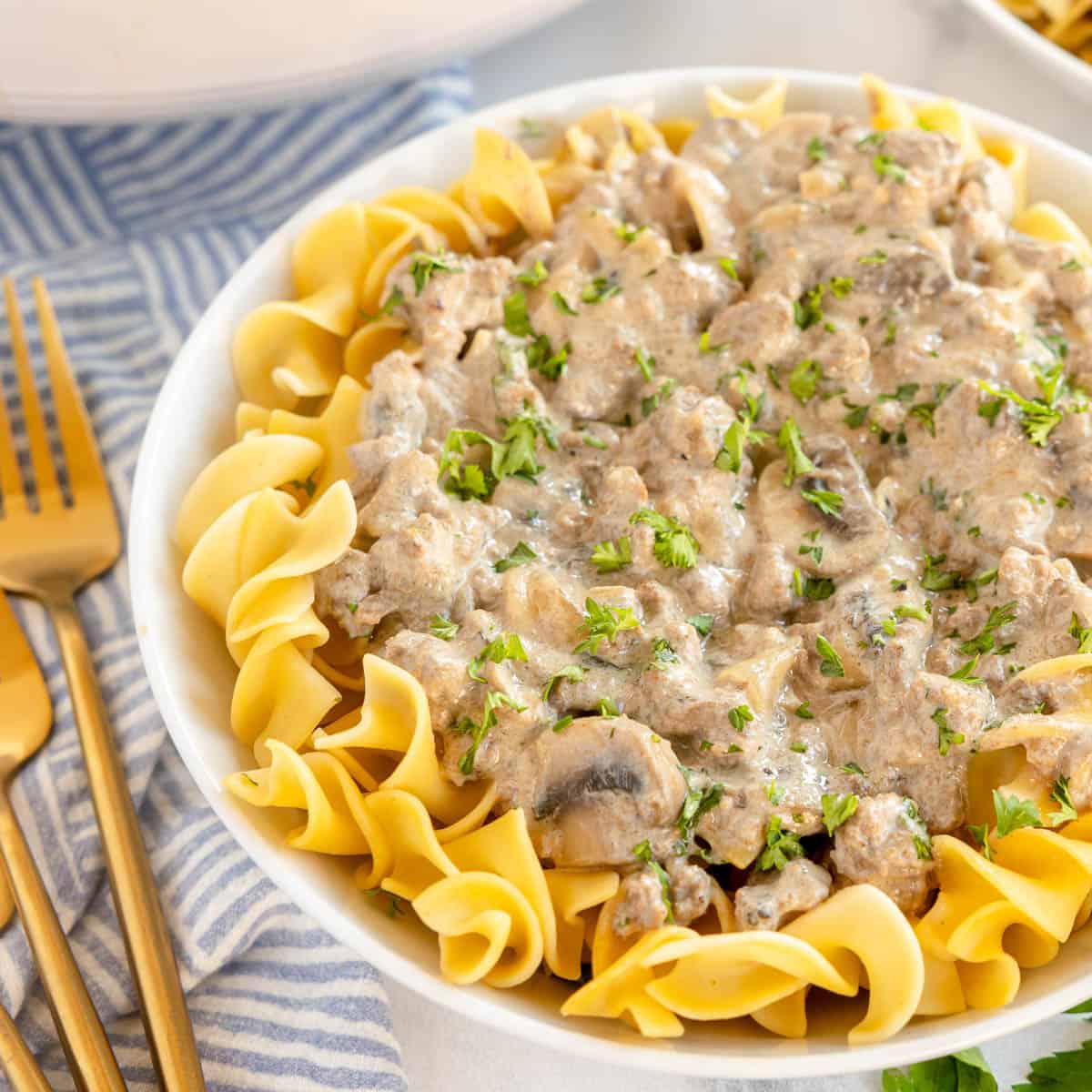 Poor Man’s Stroganoff