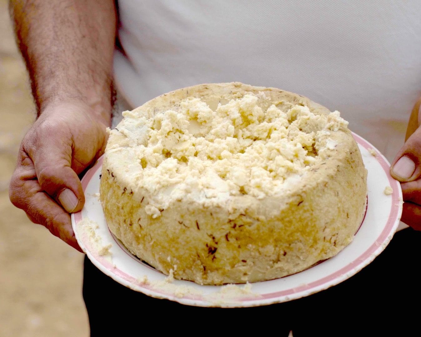 an authentic Casu Marzu maggot cheese with recipe ingredients