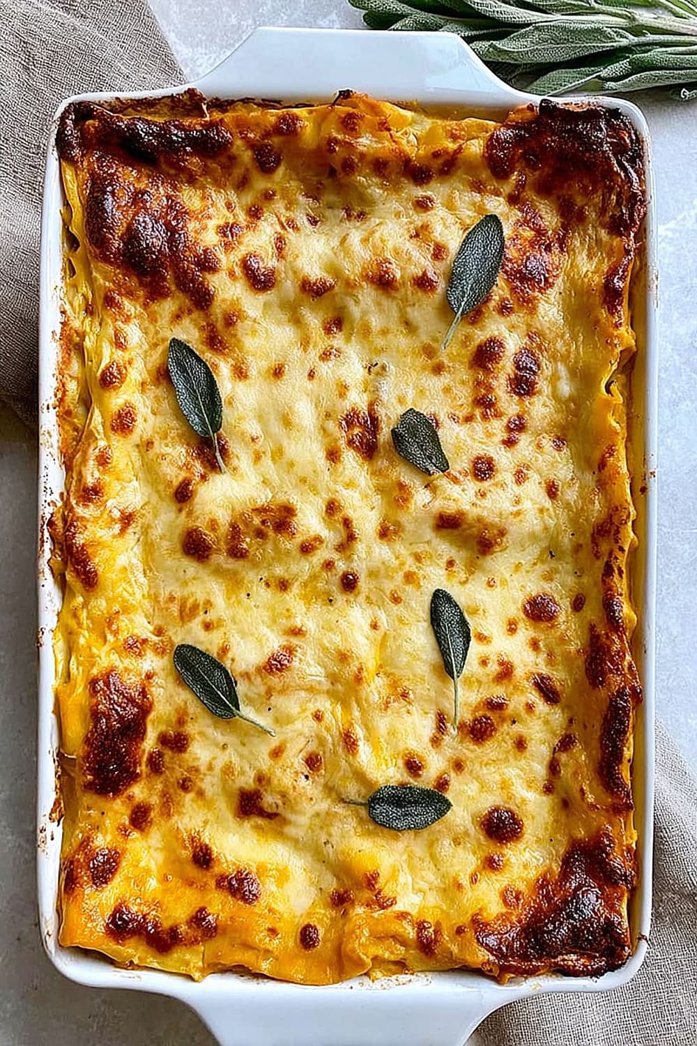 Butternut Squash Lasagna